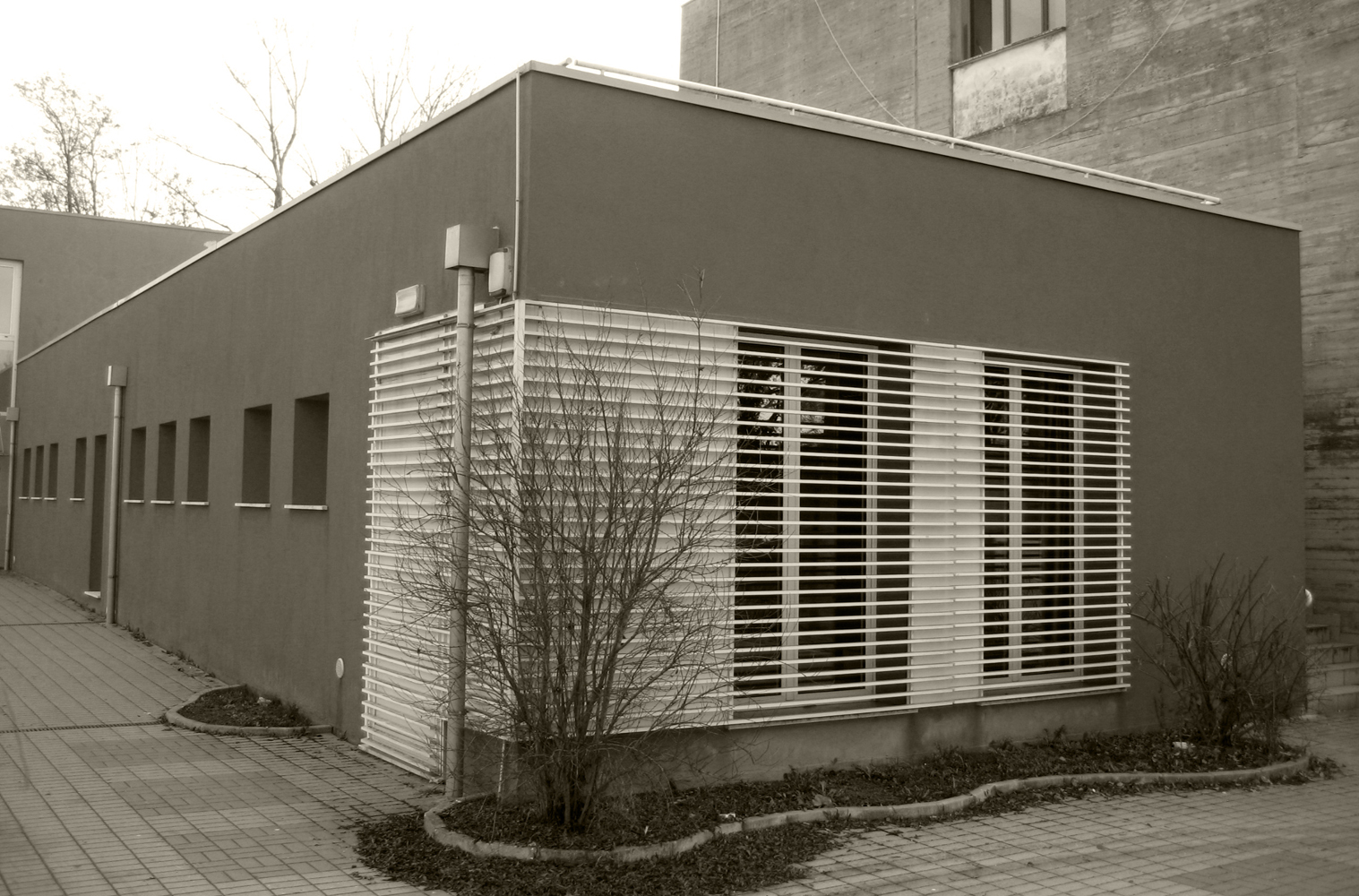 School Galilei